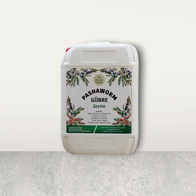 Pashaworm Zeytin