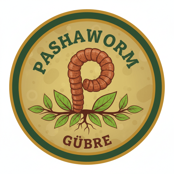 Pashaworm 