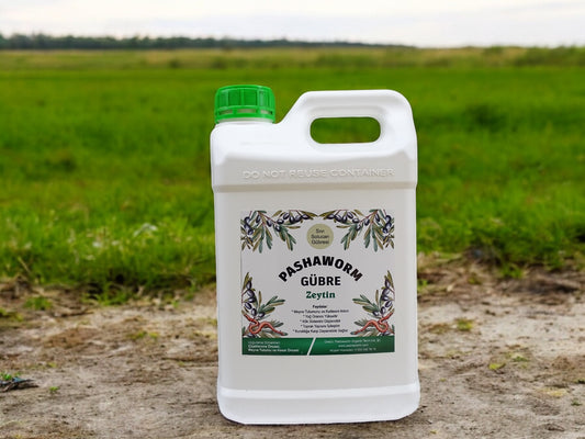 Pashaworm Zeytin 10LT