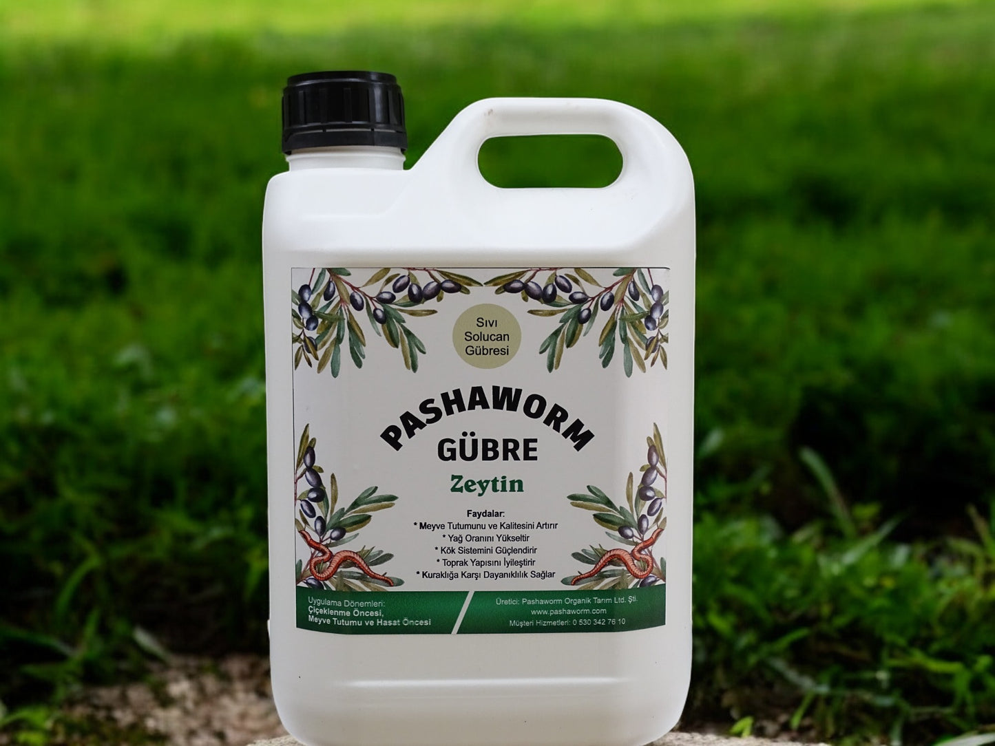 Pashaworm Zeytin 5Lt