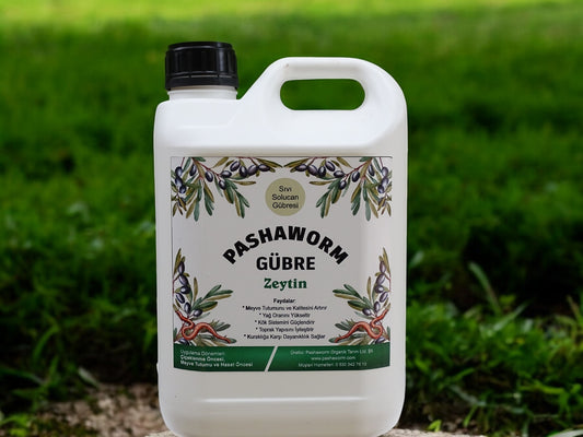 Pashaworm Zeytin 5Lt